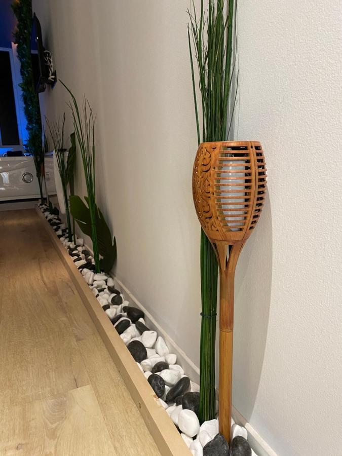 Sweet Exotique By Locations_lepuyenvelay Appartement Brives-Charensac